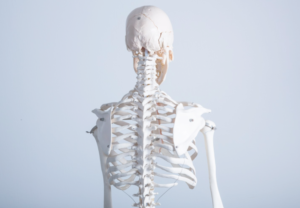 スクリーンショット 2016-05-30 19.18.48