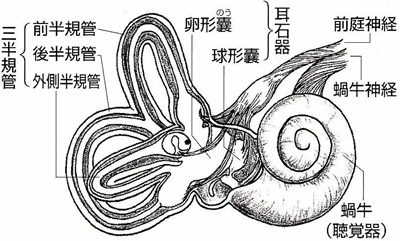 スクリーンショット 2016-08-31 17.59.26